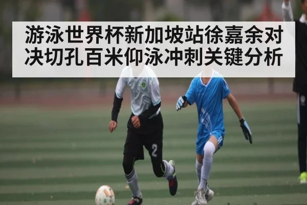 游泳世界杯新加坡站徐嘉余对决切孔百米仰泳冲刺关键分析